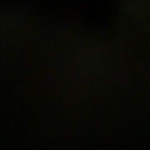 Meet your Posher, Shawn